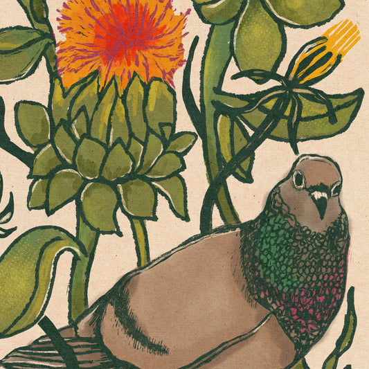 Cecil the Pigeon | Illustration