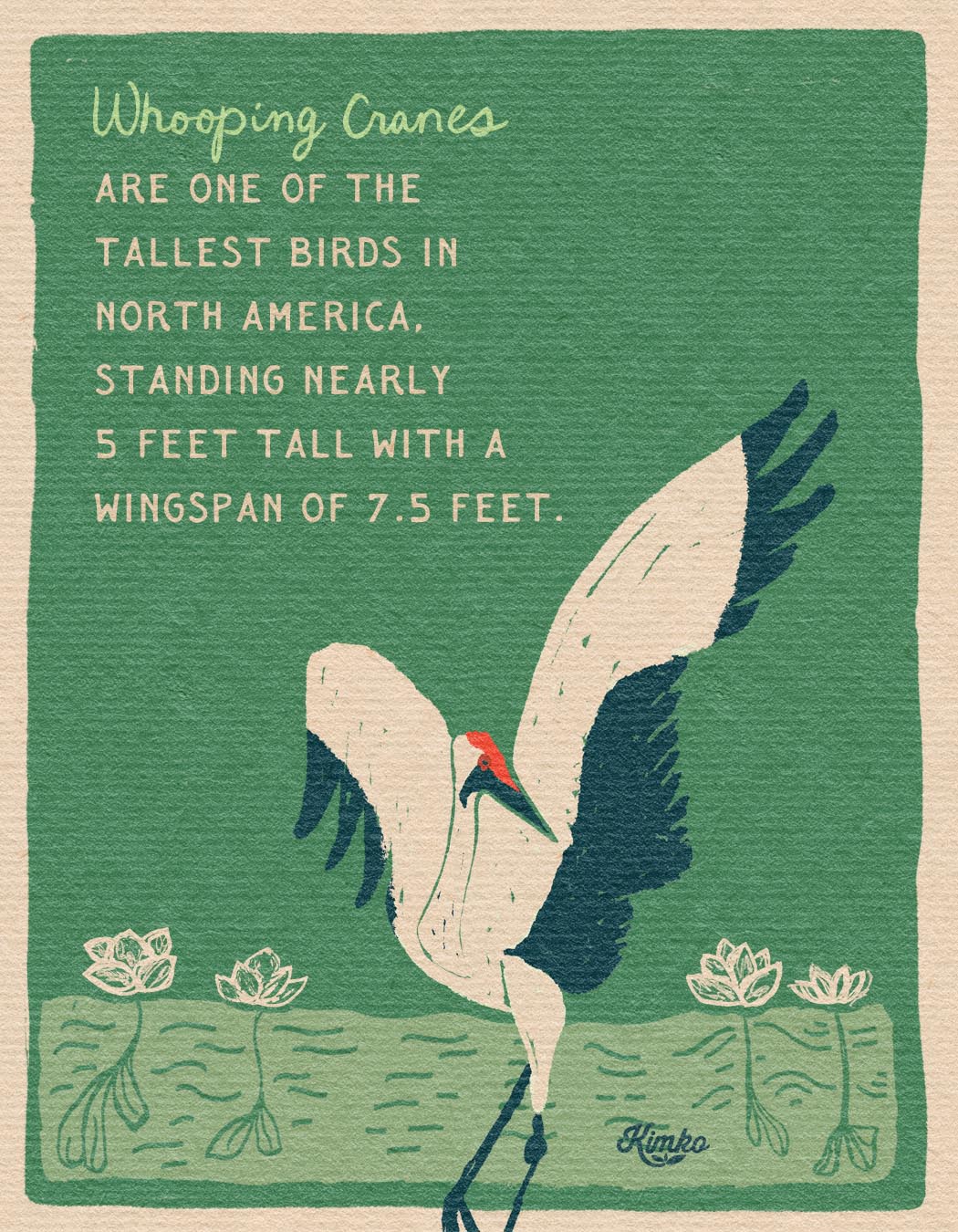 The Dance of the Whooping Cranes | Art Print