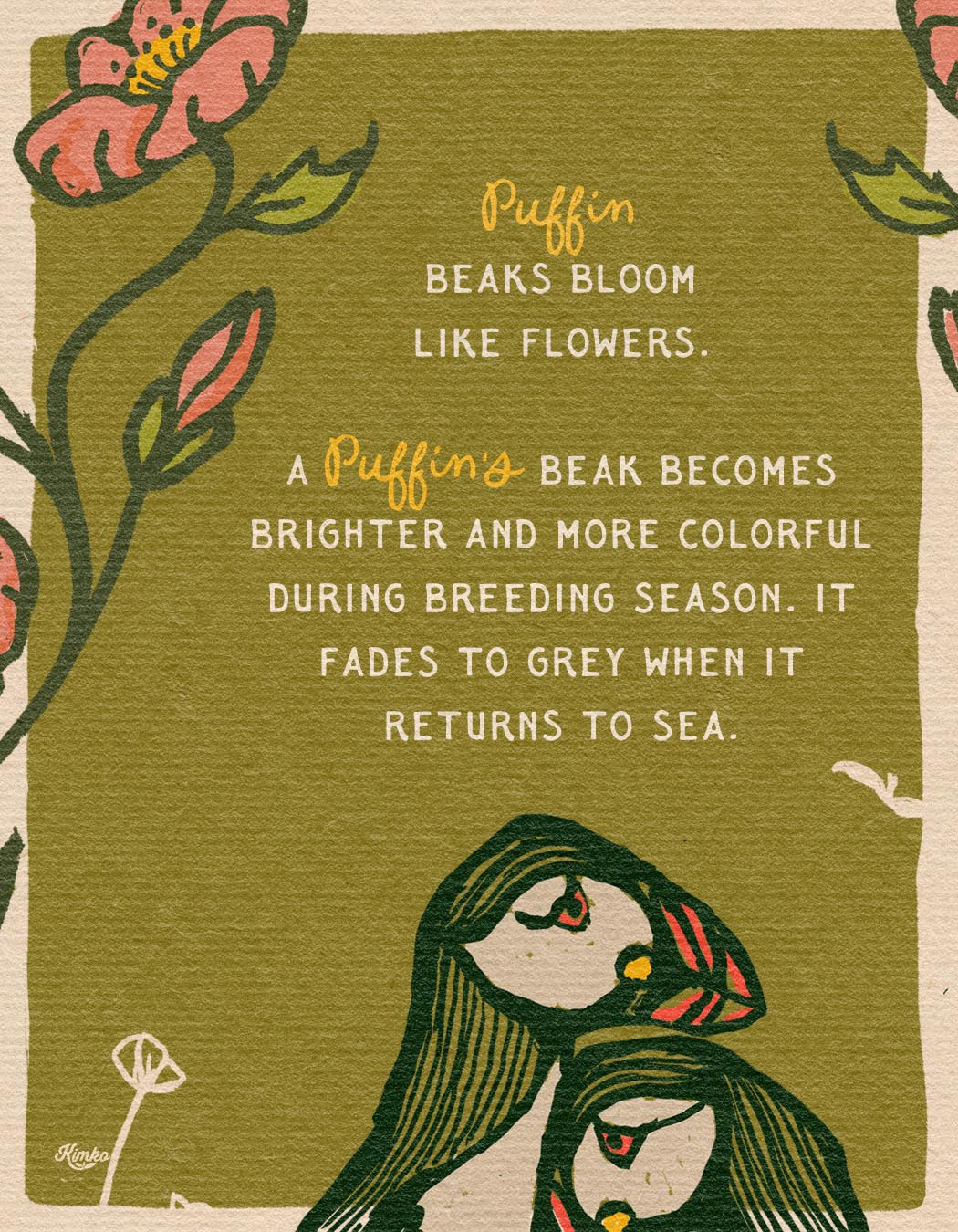 The Puffins & The Poppies | Framed Canvas Print