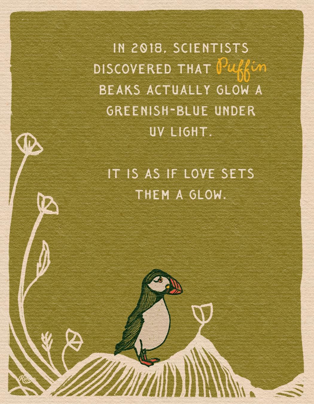 The Puffins & The Poppies | Framed Canvas Print