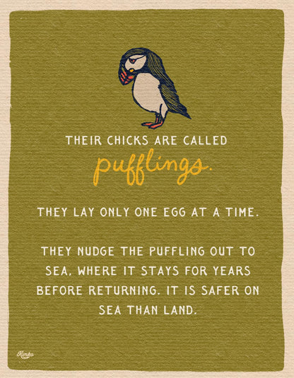 The Puffins & The Poppies | Framed Canvas Print