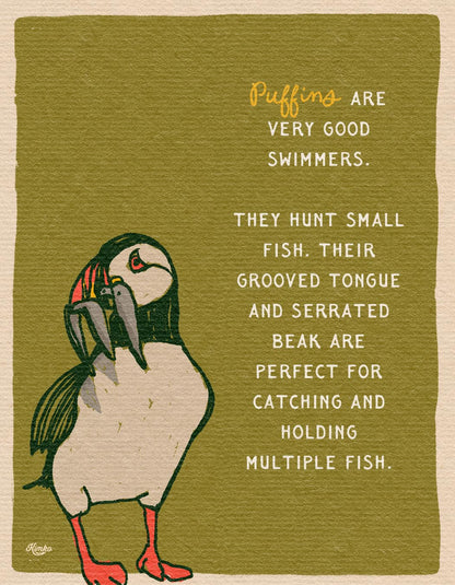 The Puffins & The Poppies | Framed Canvas Print