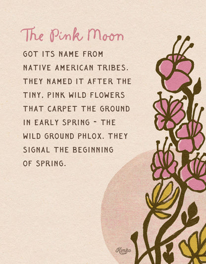 The Pink Moon | Full Moon Framed Canvas Print