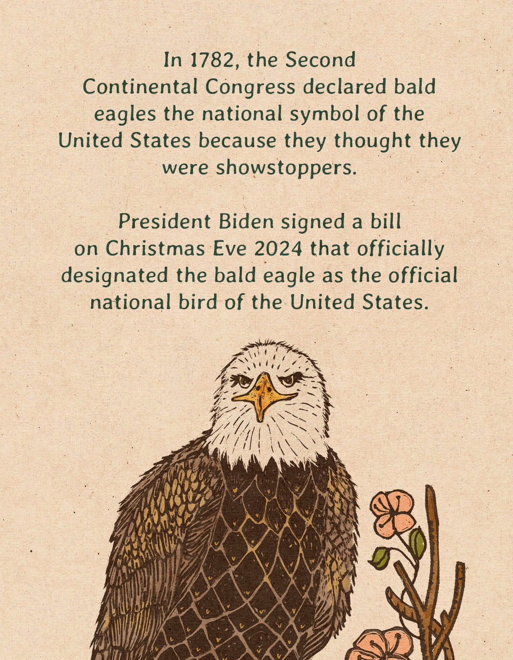 Tribute to Jackie the Big Bear Bald Eagle | Framed Fine Art Print