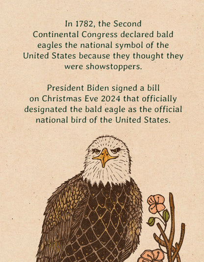 Tribute to Jackie the Big Bear Bald Eagle | Framed Fine Art Print