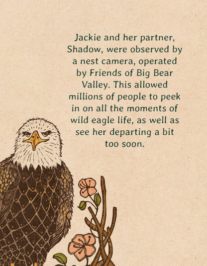 Tribute to Jackie the Big Bear Bald Eagle | Framed Fine Art Print