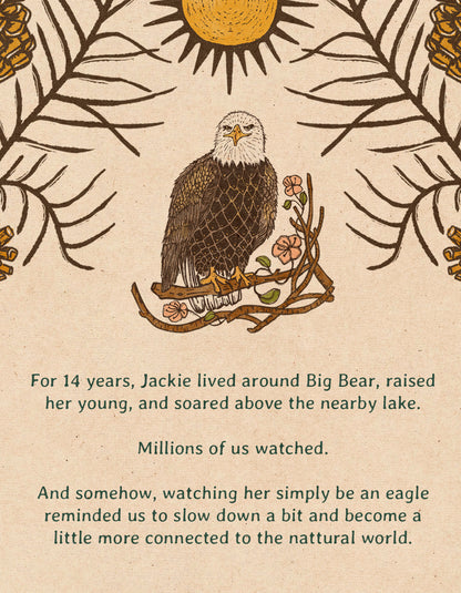 Tribute to Jackie the Big Bear Bald Eagle | Framed Fine Art Print