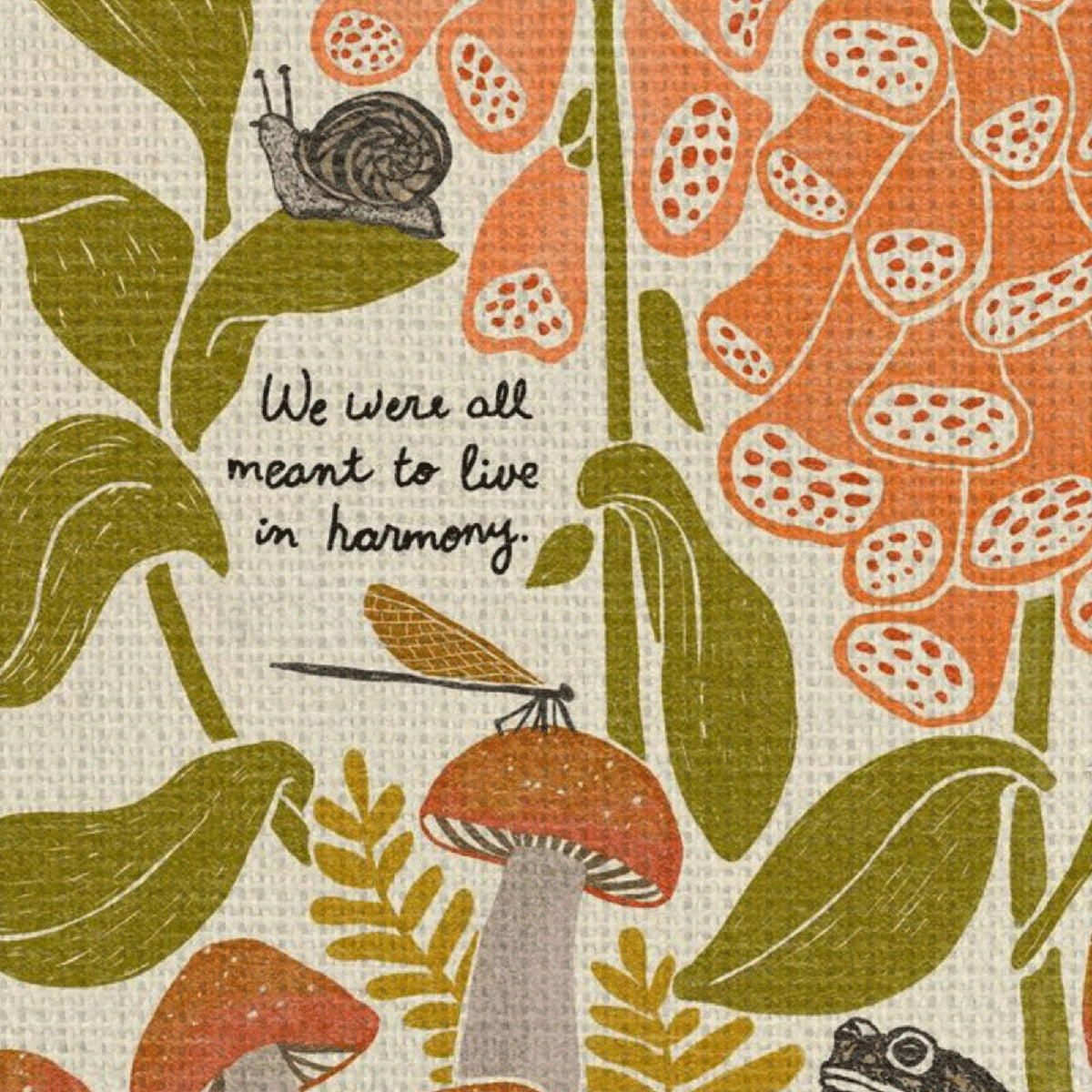 We were all meant to live in harmony. | Frogs & Foxglove