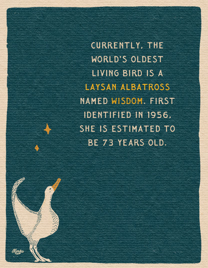The Albatross Under The Moon | Art Print