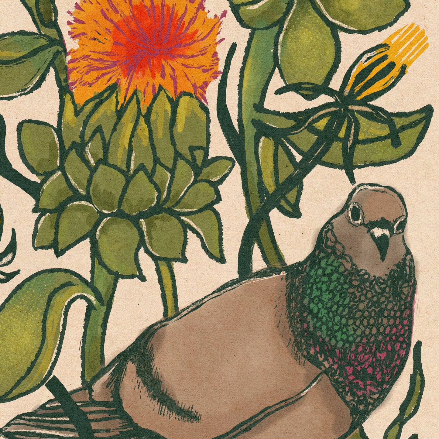 Cecil the Pigeon | Illustration