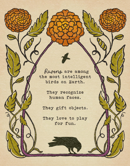 Poppy the Raven | "Ask the moon."