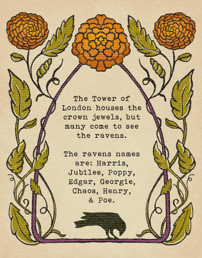 Poppy the Raven | "Ask the moon."