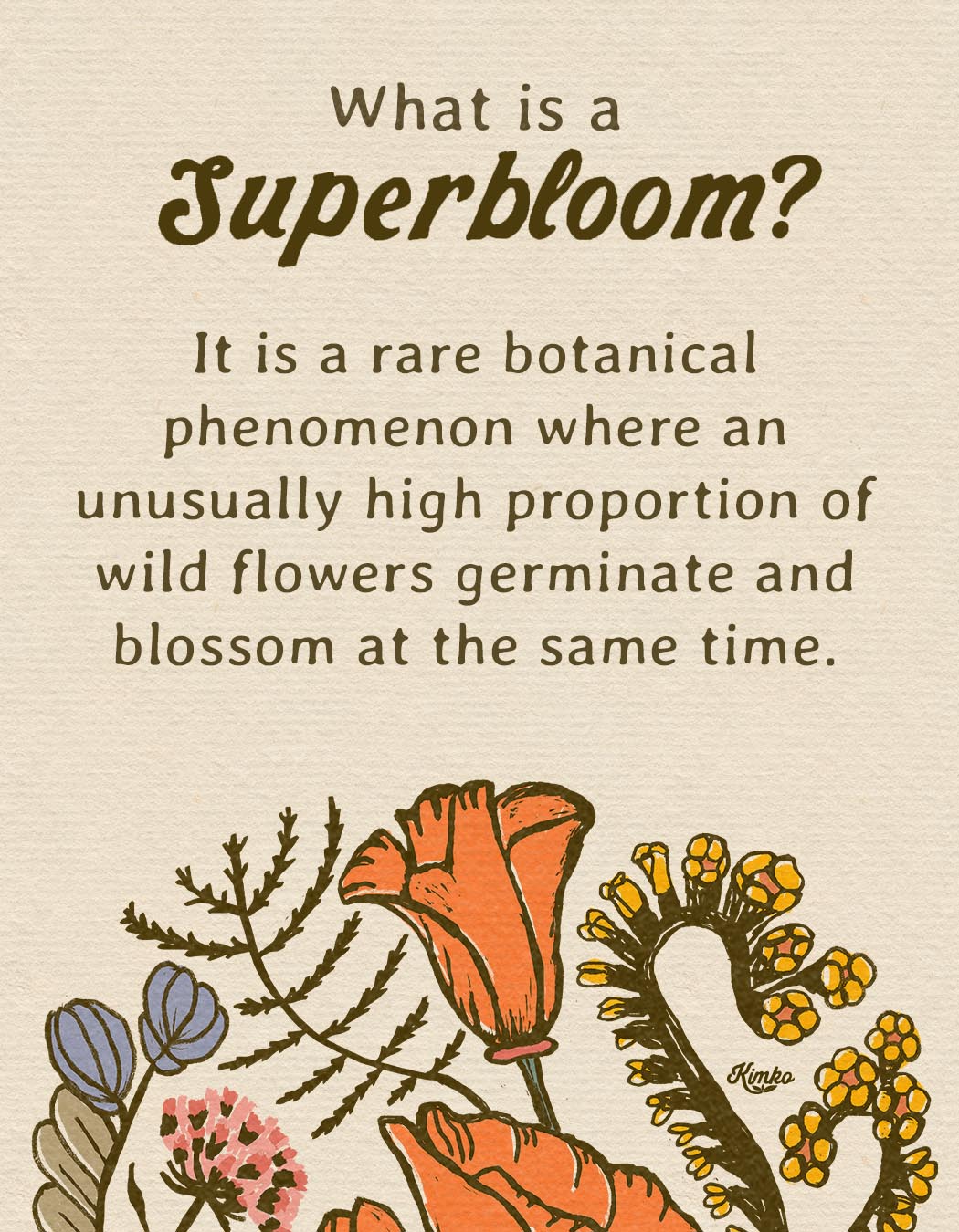 California Superbloom Botanical  | "It was all building up to this moment."