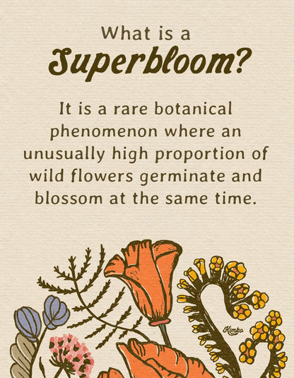 California Superbloom Botanical  | "It was all building up to this moment."