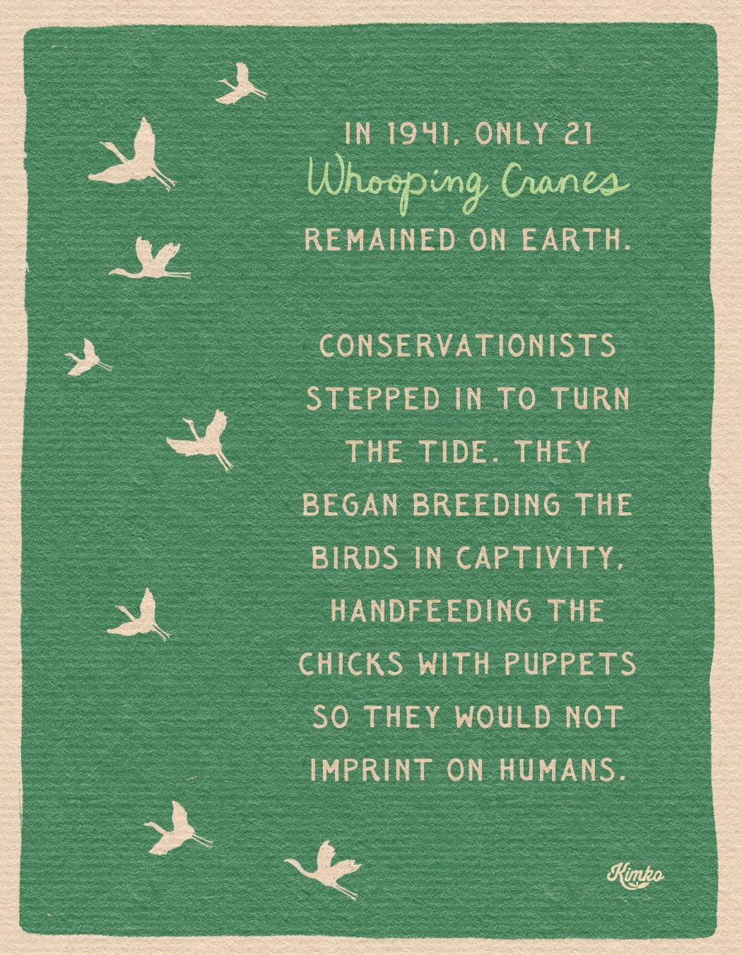 The Dance of the Whooping Cranes | Art Print