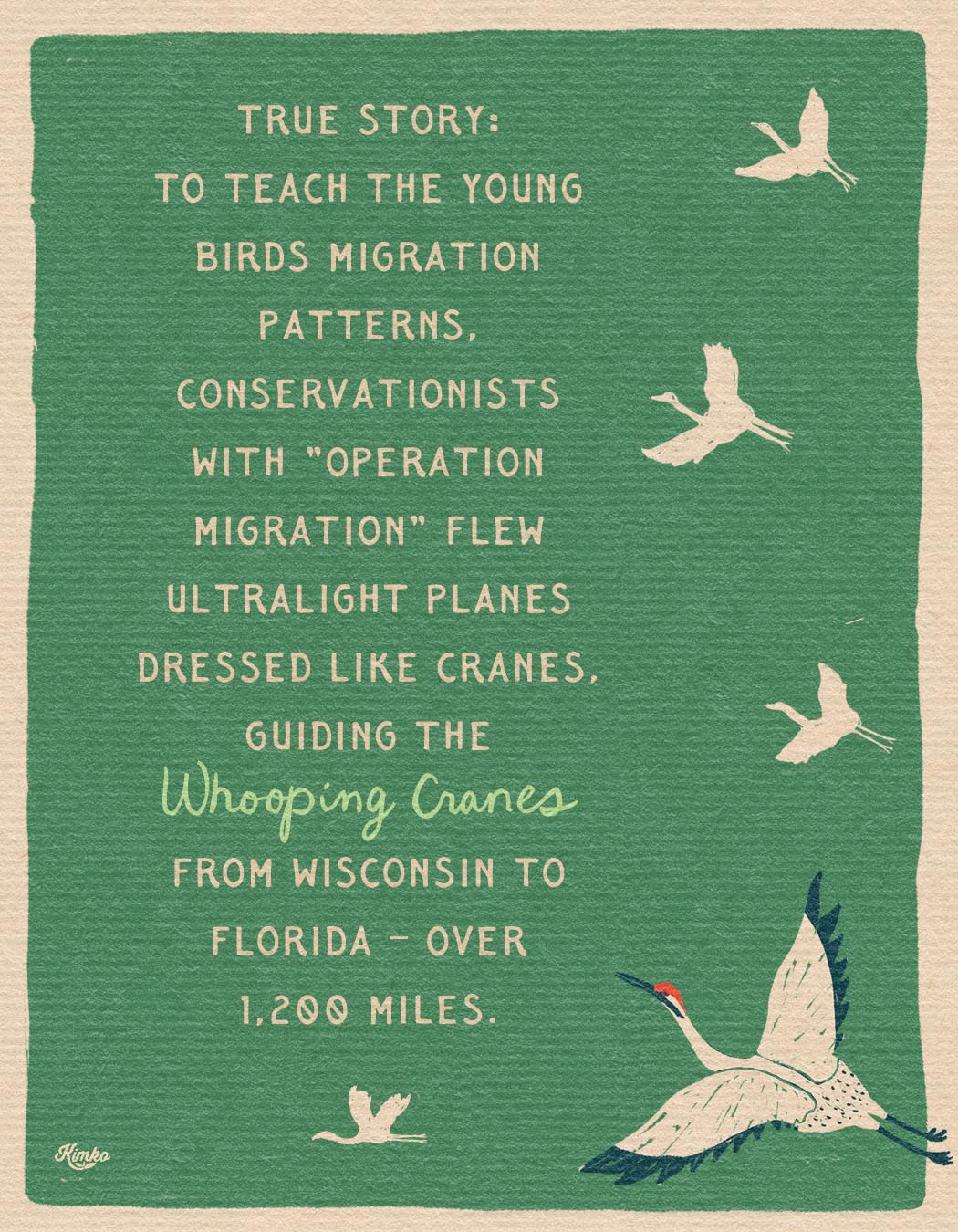 The Dance of the Whooping Cranes | Art Print