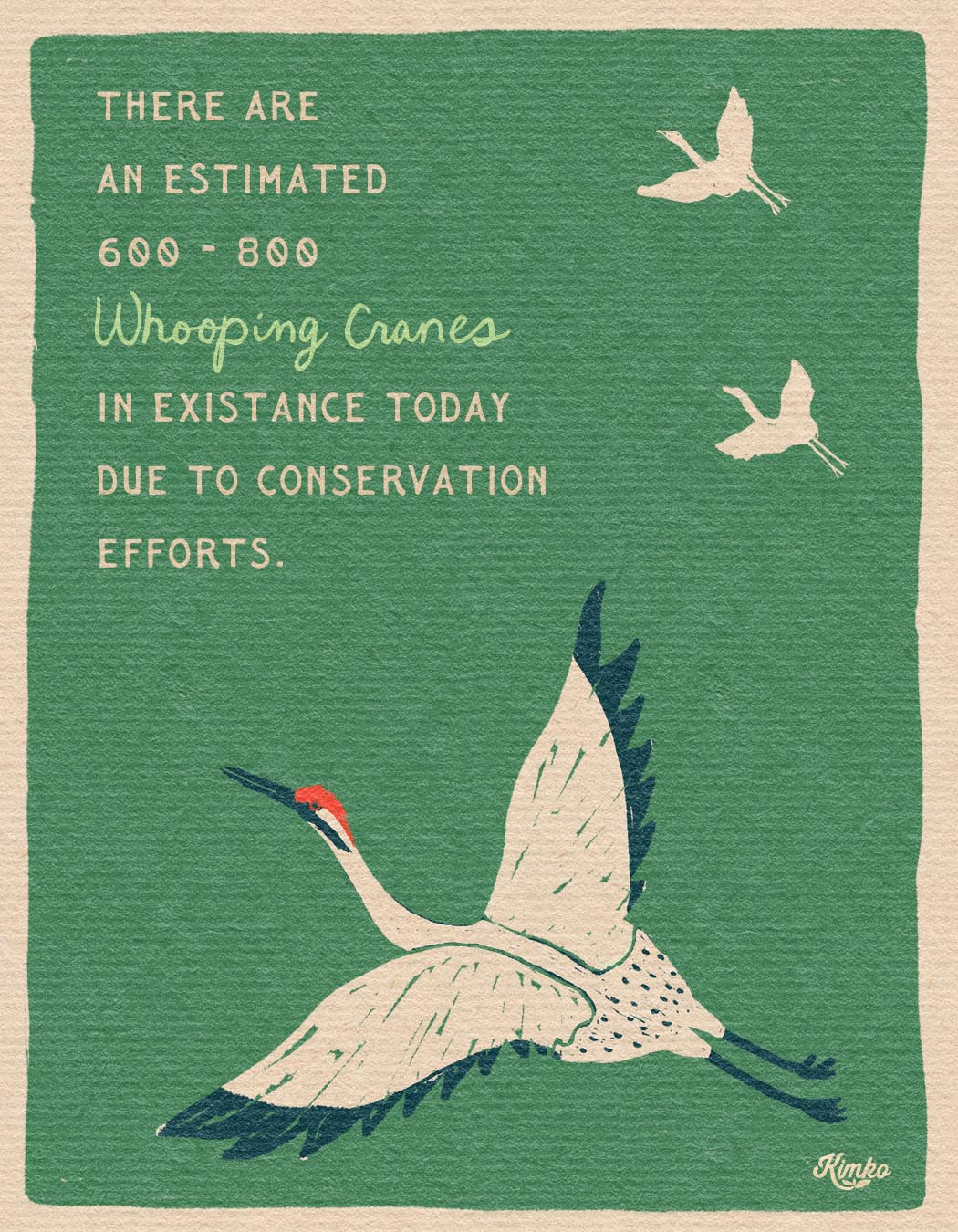 The Dance of the Whooping Cranes | Art Print