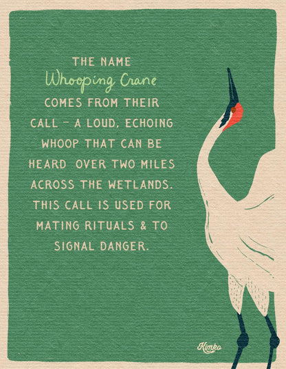 The Dance of the Whooping Cranes  | Framed Canvas Print