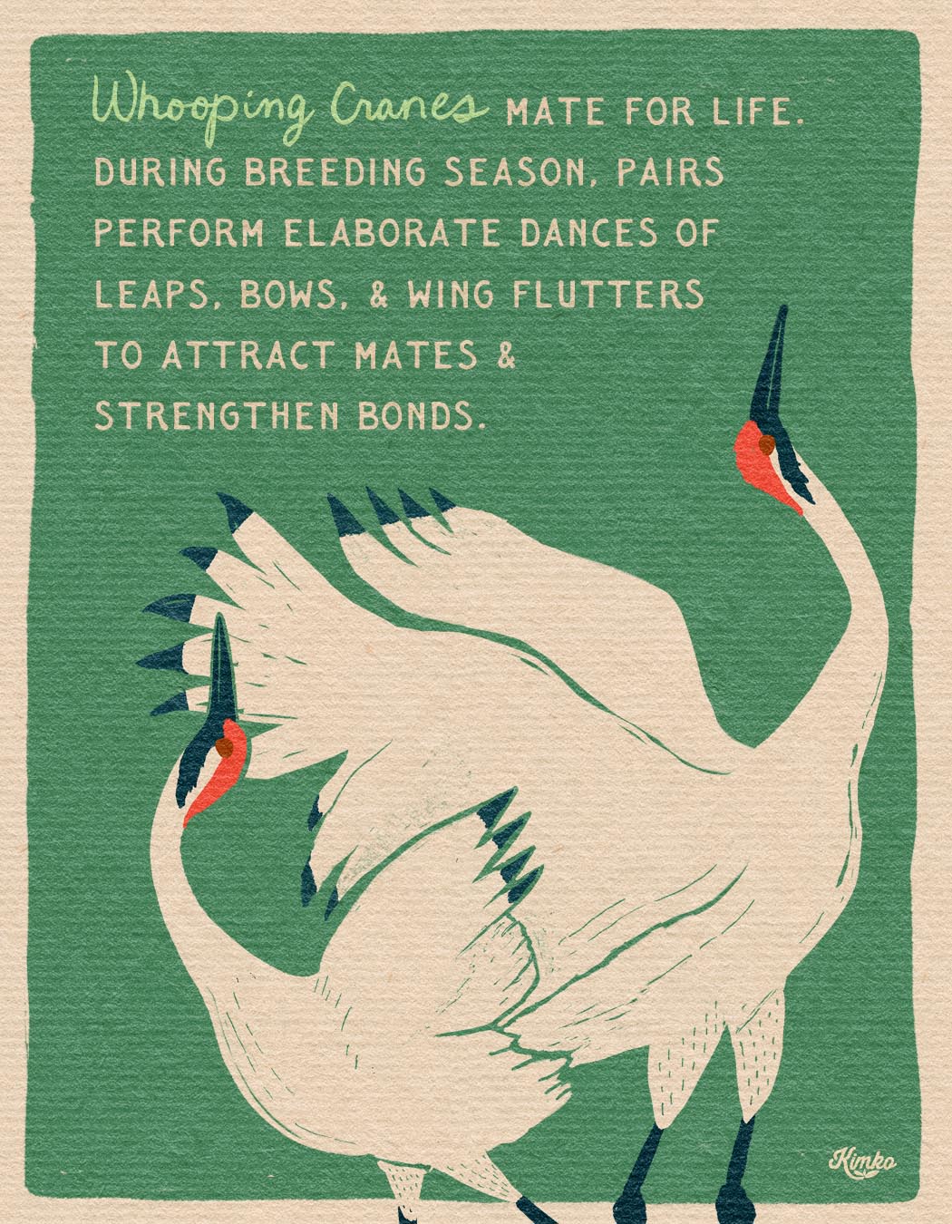 The Dance of the Whooping Cranes | Art Print